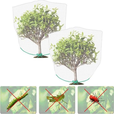2 Pièces Filet de Protection Plantes, Filet à Oiseaux Scarabée, Filet à Oiseaux Mouche, Utilisé pour Empêcher Les Insectes et Les Oiseaux de Détruire Les Plantes du Jardin(Blanc) (1/5)