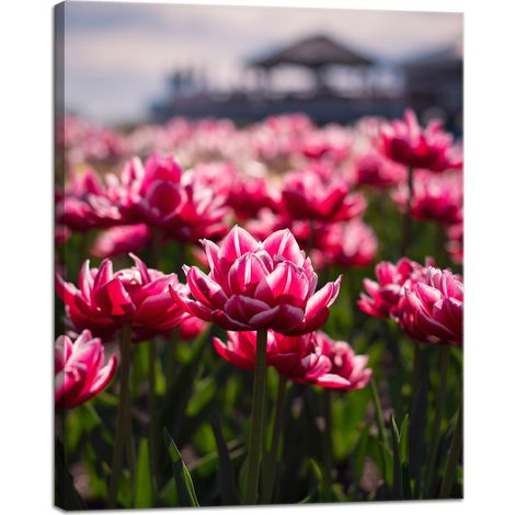 Stampa su tela Botanica Tulipani Fiori 40x50 cm Bouquet di fiori