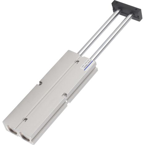 Vérin pneumatique double tige, double effet, corps en aluminium, alésage 20 mm, course 125 mm (1/5)