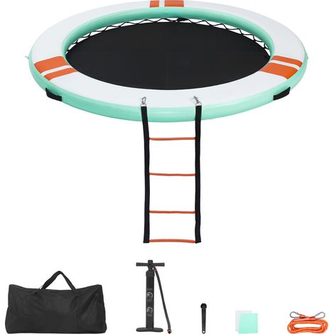Mophorn Colchoneta inflable para piscina, diámetro de 3,66 m, flotador redondo gigante con malla, escalera desmontable y bolsa de transporte, ideal para relajarse en piscinas, playas y lagos. (1/5)