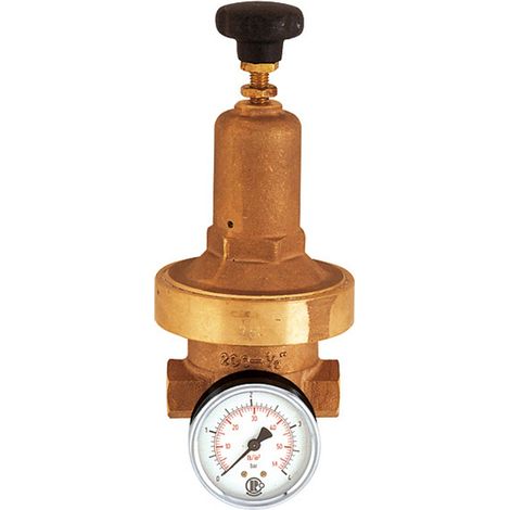 Riegler Druckregler DRV 250, Niederdruckausführung, G 1/2, 0,2 - 2 bar (1/4)