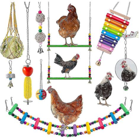 Jouets pour poules, xylophone pour poules, jouets à picorer pour poules, Yanlieso (1/5)