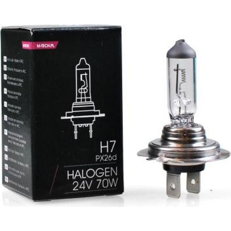 1 Ampoule H7 24v 70w