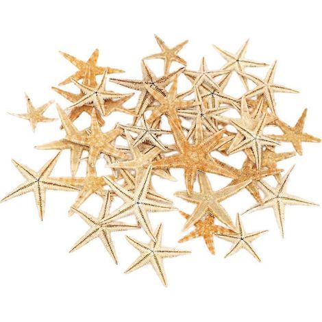 boîte de micro-ornements en ciment strass couleur étoile de mer ornements décoratifs mini sculpture décoration de paysage pour la maison fournitures d'artisanat d'art DIY (-Beige (1/4)