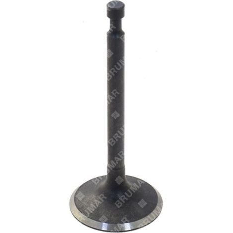 Valvola di scarico per motogeneratori DUCAR Compatibile - 038221