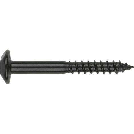 Vis Penture Inviolable 2 pièces TORX T40 6X70 Acier zingué noir-1 pièce