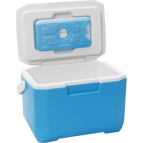 Caja refrigeradora de carcasa dura, cofre de hielo para automóvil de gran capacidad y tamaño pequeño: contenedor aislado con aislamiento de frío duradero para exteriores, deportes, viajes (1/5)