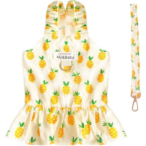1 ensemble vêtement chien harnais laisse, robe princesse imprimé fruits, coton doux, taille S à XL, pour chiots et petites chiennes (1/5)