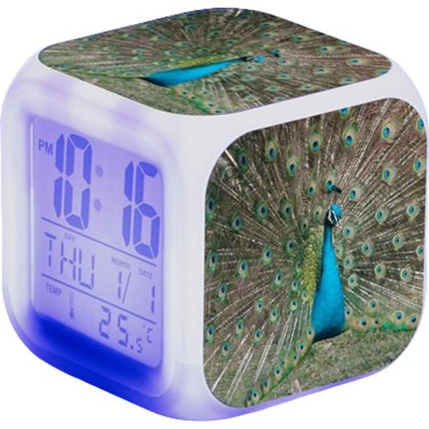 Réveil Photo personnalisé avec 7 Couleurs de Veilleuse,Snooze,LED (1/5)