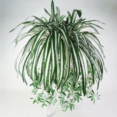 Plante Artificielle Chlorophytum - Fleur en Soie - Décoration Intérieure Jardin Maison - 62 cm - 5 Branches 15 Fleurs - 1 Pièce (1/5)