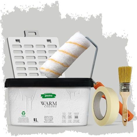 Vernice - PECTRO - Monocouche - Grigio Chiaro - 4L - Kit Completo Inclusa