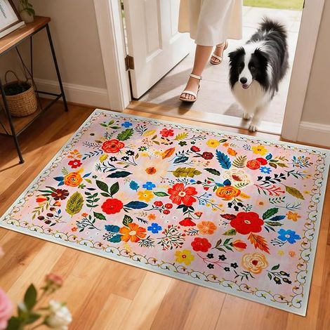 Thin Indoor Entrance Mat, 91 x 60 cm, Washable Doormat (1/5)