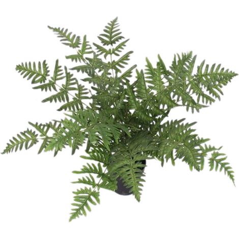 50cm Luxury Artificial Evergreen Fern Plant (1/4)