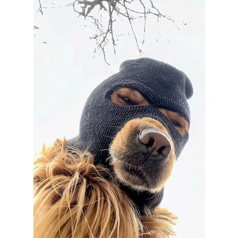 Bonnet chien hiver masque ski costume chien grande taille accessoire déguisement chapeau chien casque cosplay animal fournitures mascotte (1/5)