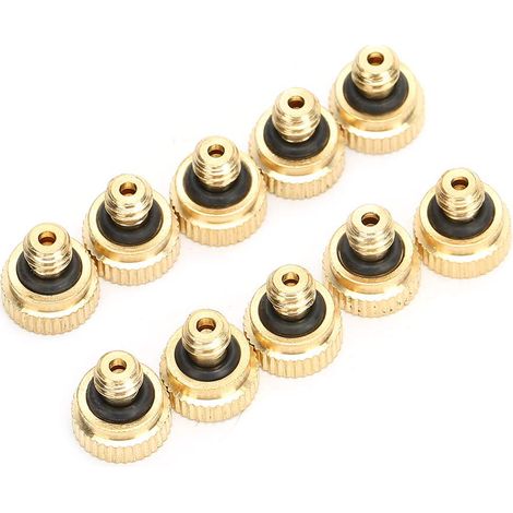 GARRYFIZH 10 pièces 0.2mm eau du robinet basse pression atomiseur buse brumisation refroidissement buses de pulvérisation (1/5)