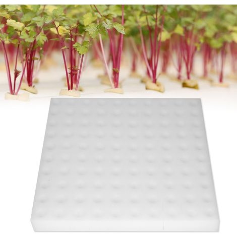 Sponges de Culture Hydroponique Lot de 100 - Sponges PU pour Germination et Semis Square 25x24cm Jardinerie Serre (1/5)