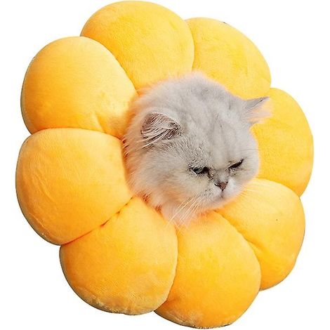 Collier médical anti-morsure et anti-léchage pour chats et chiens en forme de tournesol - Accessoires pour animaux de compagnie (1/5)