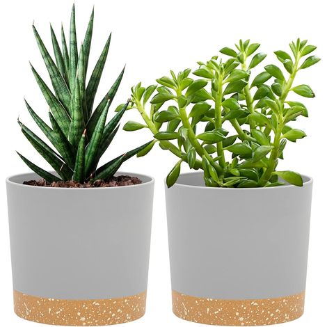 Lot de 2 Pot de Fleur Interieur,12.7cm Cache Pot Plante,Plastique Indoor Flower Pots avec Trous de Drainage et Base Amovible(Gris Clair12.7cm) (1/5)