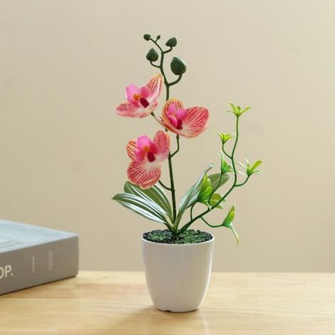 Orchidée Artificielle - Hauteur 26 cm - Pot Céramique 7,5 cm - Couleurs Réalistes - Rouge Rayé - 1 Pièce