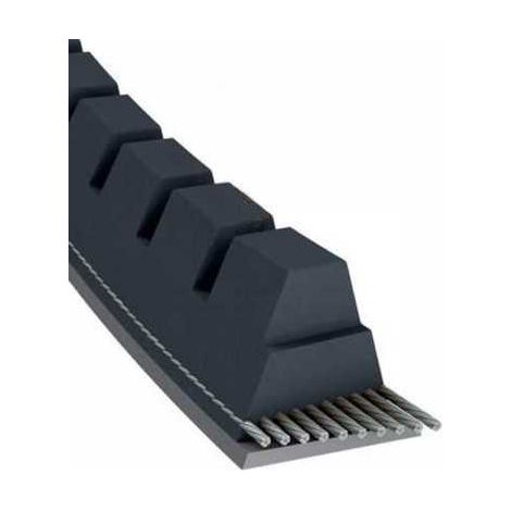 Courroie tondeuse XPZ1180 trapézoïdale crantée 9,7 x 1192 mm (1/5)