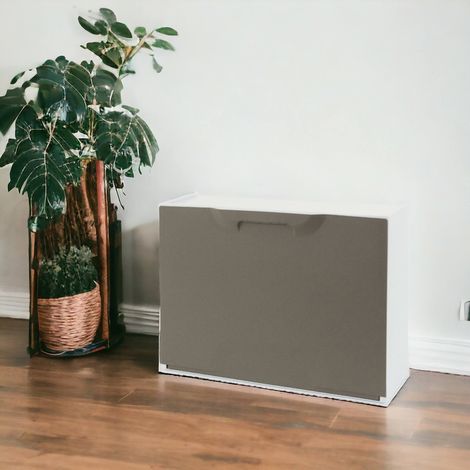 Dmora Estante de zapatos con 1 puerta de aleta de polipropileno, gabinete modular interior o externo, 100% Made in Italy, 51x18h40 cm, color de tortora, con embalaje reforzado (1/5)