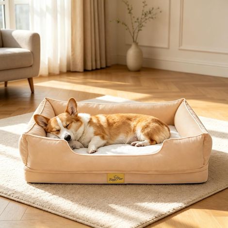 Panier Chien Déhoussable et Orthopédique, 77 x 63 cm, Beige (1/5)