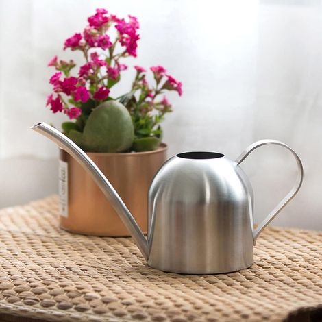 Stainless Steel Watering Can with Long Spout for Garden Plants (1/5)