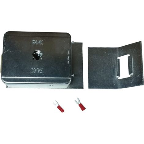 Elettroserratura Verticale 12V (Faac Cod. 712650) (1/5)