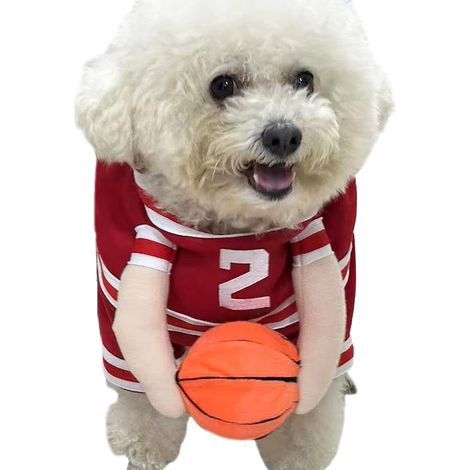 Accessoire Costume chien basket joueur sport tissu doux respiration fête Halloween animal L (1/5)