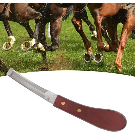 Couteau de parage pour chevaux - Lame double face en acier inoxydable - Forme ergonomique avec manche en bois - Dimensions 22.3cm - Pour soins et réparation des sabots (1/5)
