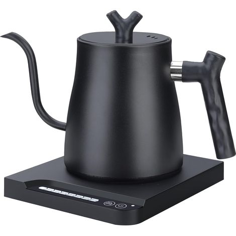 Electric gooseneck kettle with temperature control
