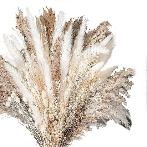 Bouquet de 100 fleurs séchées naturelles en herbe de la pampa, idéal pour un mariage. (1/5)