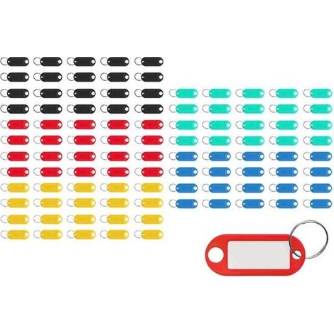 Lot de 100 étiquettes porte-clés – Couleurs assorties – Identification – Organisation (1/5)