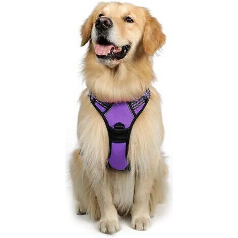 Harnais Chien L Arnais Violet Anti Traction Réfléchissant Gilet Réglable pour Chien Grand Taille, Attache Devant Crochet de Laisse pour Randonné Trajet Voiture, American Staff, Border Collie-Ensoleill (1/5)