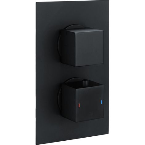RAK Thermostatic Square 2 Outlet Concealed Shower Valve Dual Handle - Black (1/2)