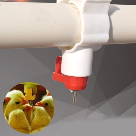 Lot de 20 abreuvoirs automatiques à tétine pour poulets - Équipement d'alimentation pour volailles (1/5)