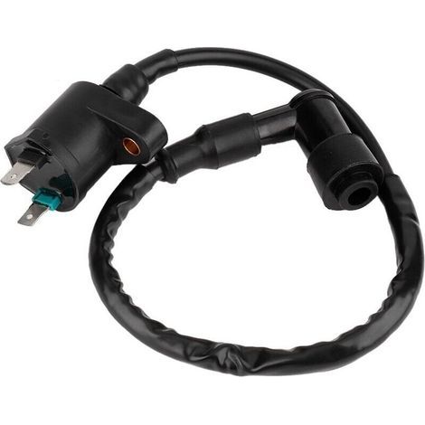Bobine D'allumage de moto. bobine d'allumage de moteur d'ABS adaptée pour 50CC 150CC 250cc GY6125 Autres pièce de rechange pour voiture