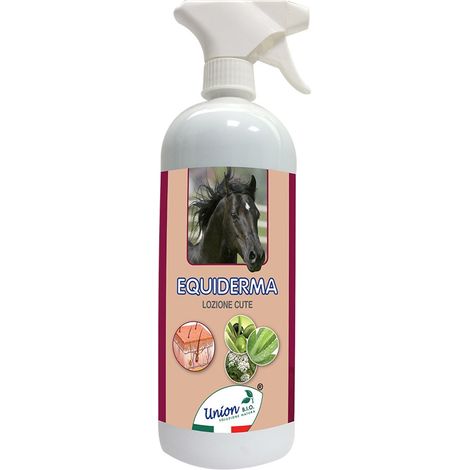 Adjuvant équidermal pour les dermatites, mycoses, plaies et infections cutanées 1000 ml