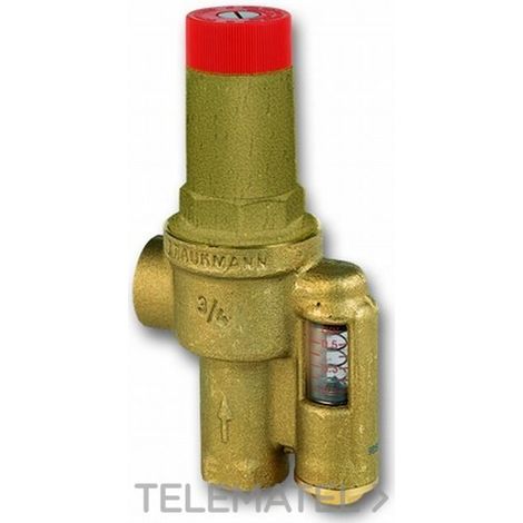 VÁLVULA PRESIÓN DIFERENCIAL DU146 3/4 HONEYWELL DU146-3/4A