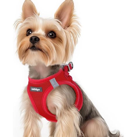 Harnais Chien Petite Taille Rouge XS, Harnais Chiot Respirante en Maille Souple, Arnet pour Chien Réfléchissant Facile à Mettre, Gilet Réglable pour Petits et Moyens Chiens pour Marche (1/5)