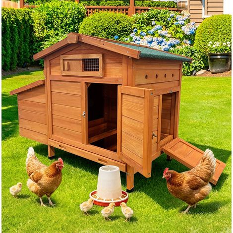 Gallinero elevado (72x60x25.5 cm), con nido y puerta con pestillos, madera, dorado (1/5)