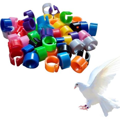 100 Bague Pour Pied d’Oiseaux【8mm】Anneau d'Identification En Plastique Pigeon BagueAnneaux De Pied Pour Oiseaux Pour Marquage Élevage Depoussins De Caille De Perroquet Oiseaux Volailles (1/5)