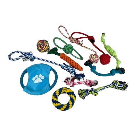 Ensemble d'accessoires de jeu pour chien à tirer (1/5)