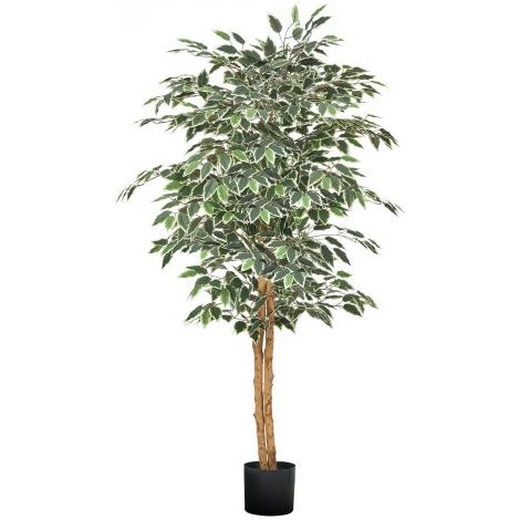Arbre Artificiel - 1 - 5 m Plante Artificielle en PE Ficus (1/5)
