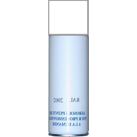 Bombe de retouche Porte et Portail RAL 9010 BLANC - 4M