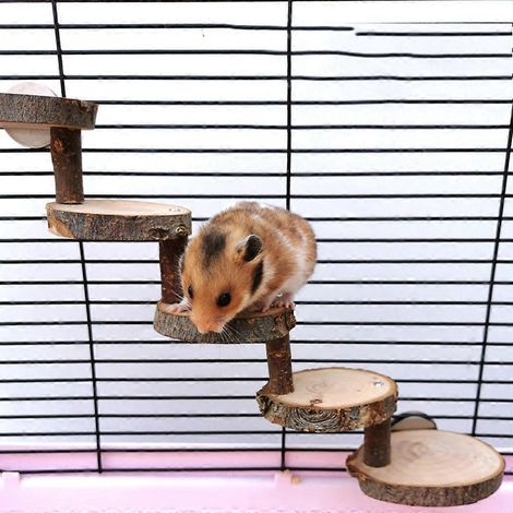 Échelle en bois à 3/5 niveaux pour hamster, pont suspendu, escaliers, perchoirs, cage - 3 échelles (1/4)