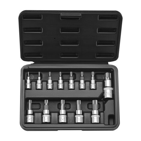 Set di Bussole Torx, 13 Pezzi Stella T8 - T60, Acciaio Legato S2 (1/5)