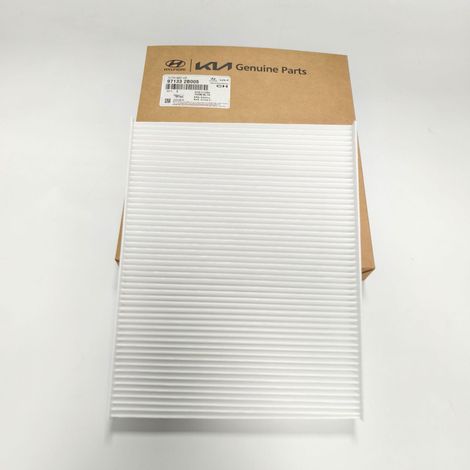 97133-2B005 gilt für den grenzüberschreitenden Verkauf von Klimaanlagenfilterelementen von Hyundai und Kia. (1/5)