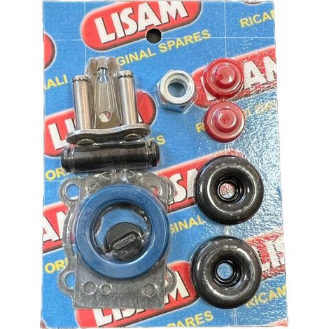 KIT RICAMBIO RICAMBI PER ABBACCHIATORE PNEUMATICO PETTINE V8 LISAM (1/2)