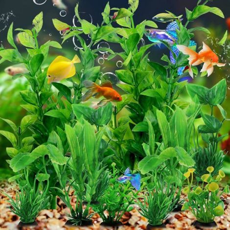 10 Pièces Décorations Aquarium Plantes Vertes - Accessoires de Bassin à Poissons - Décoration Aquatique Naturelle et Facile (1/5)